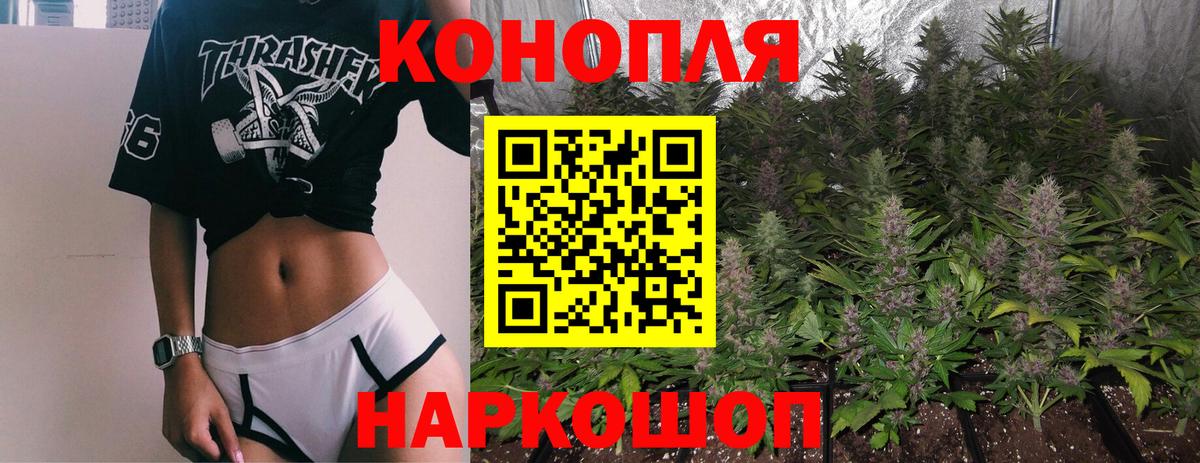 Марихуана MAZAR Топки